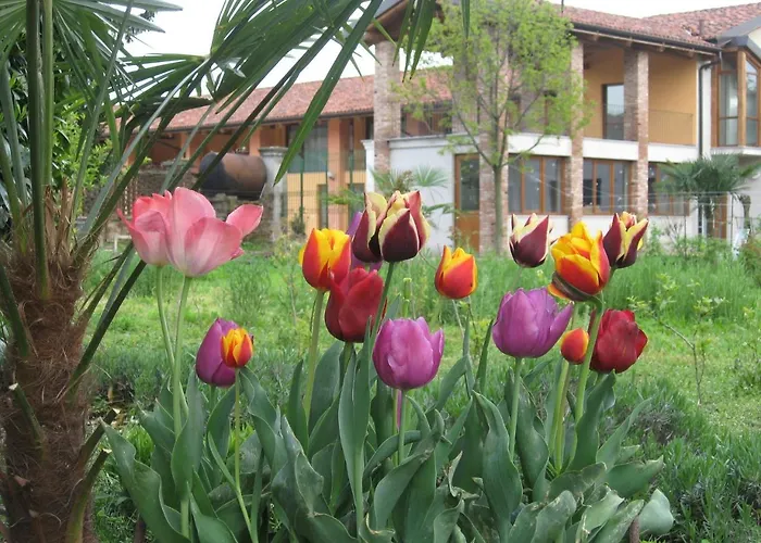 Vakantieboerderij Cascina Duc